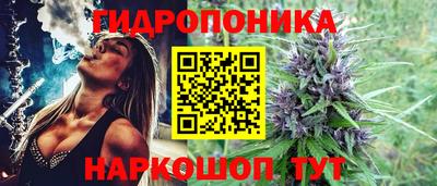 не бодяженный Нальчик